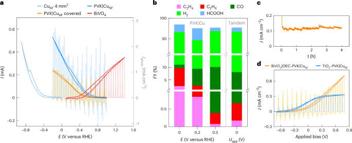 重磅！他，10年當(dāng)選三院院士，最新Nature Catalysis！