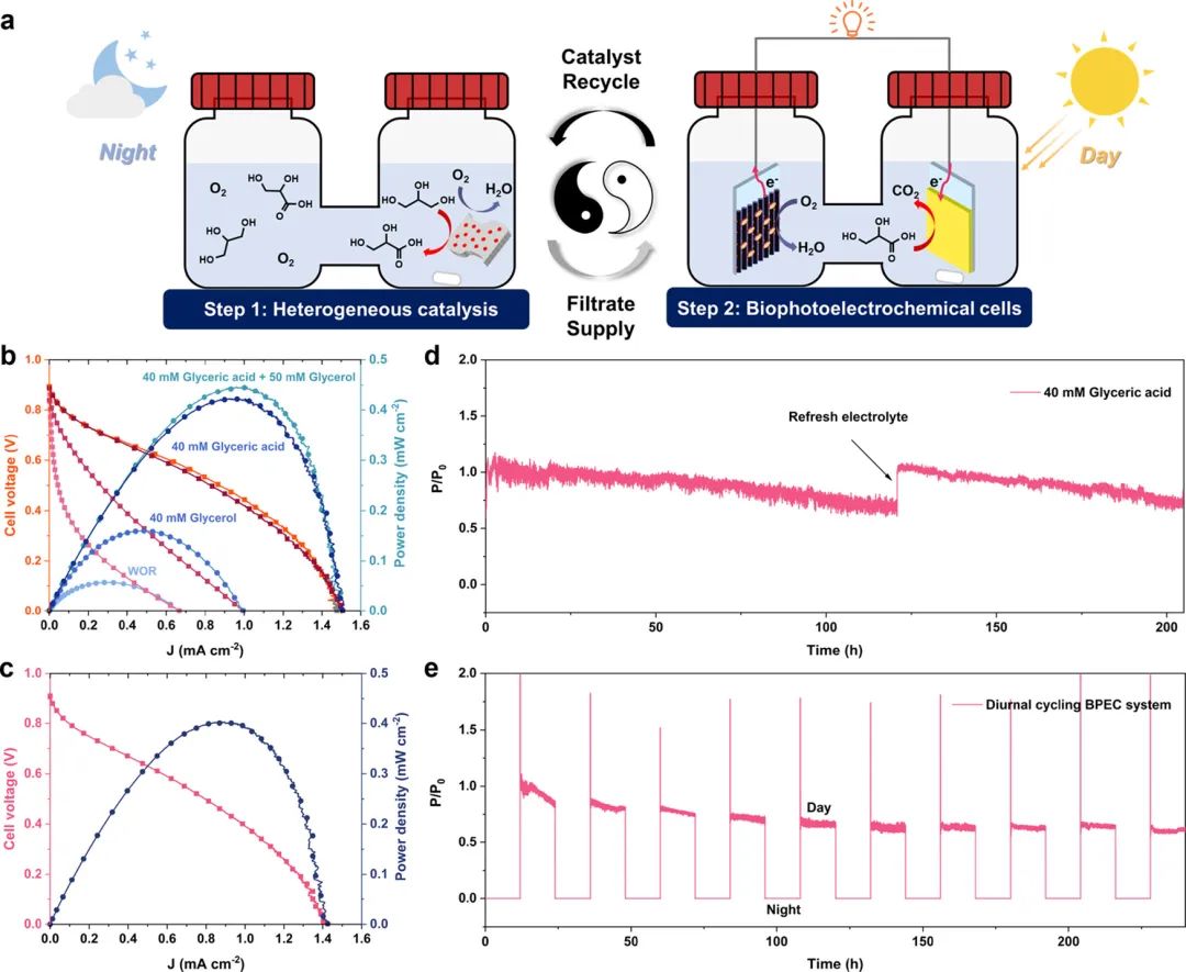 長春應化所董紹俊院士，最新JACS！