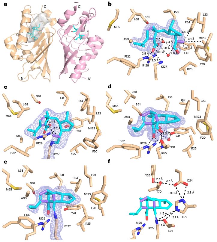 牛！他，發完Nature不到10天，聯手中科院「國家高層次人才」，再發Nature Catalysis！