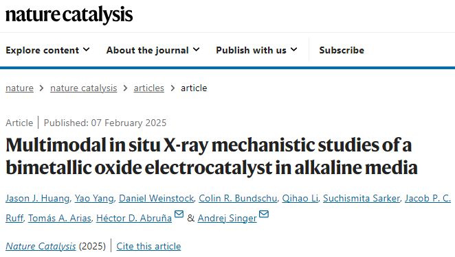 他，康奈爾大學博士，一作新發Nature Catalysis！