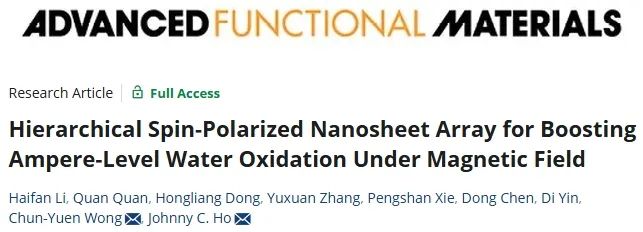 ?港城大AFM: 構建分層自旋極化納米片陣列，實現磁場下大電流水氧化
