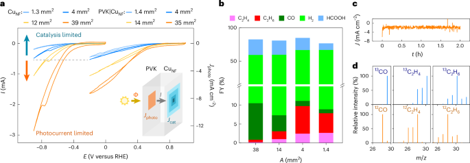 重磅！他，10年當(dāng)選三院院士，最新Nature Catalysis！