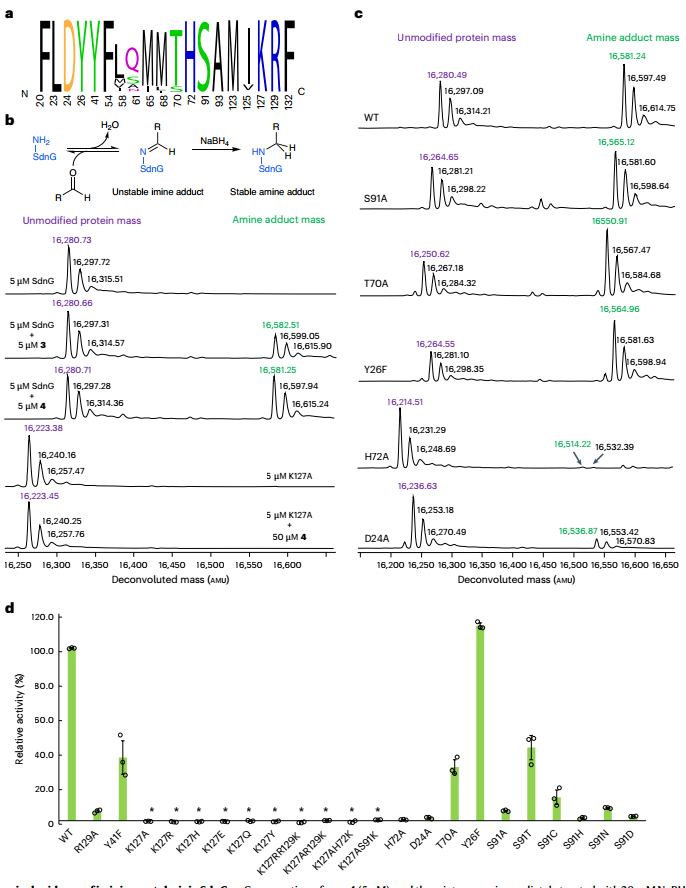 牛！他，發完Nature不到10天，聯手中科院「國家高層次人才」，再發Nature Catalysis！