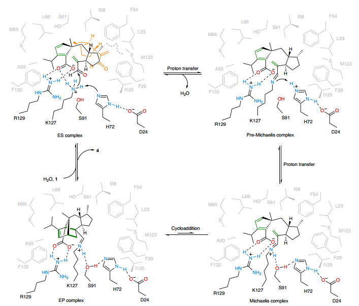 牛！他，發完Nature不到10天，聯手中科院「國家高層次人才」，再發Nature Catalysis！