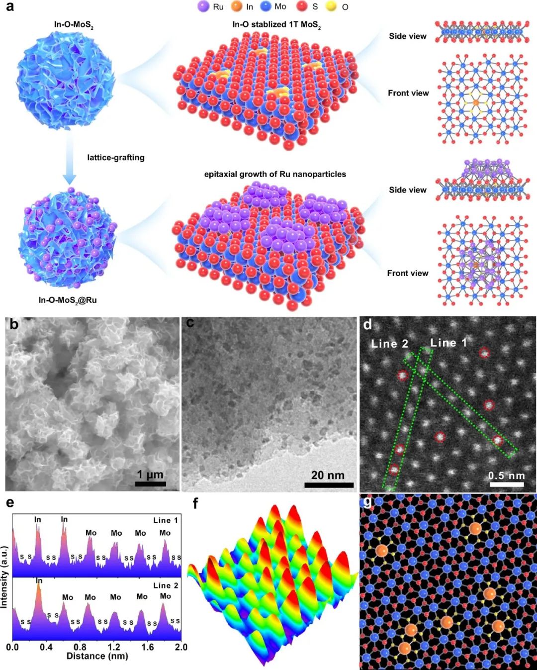 摻雜賦能，“釕”建奇功! 山大「國家杰青」團隊，Nature子刊！