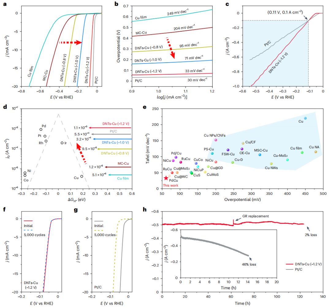 “電”銅成鉑！復旦大學第一單位，最新Nature Materials！天大「國家優青」/北工大博士共一！
