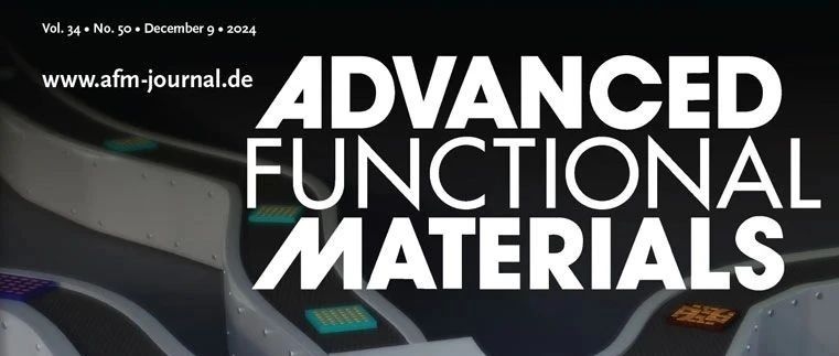 福州大學(xué)，新發(fā)AFM！
