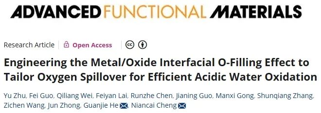福州大學(xué)，新發(fā)AFM！